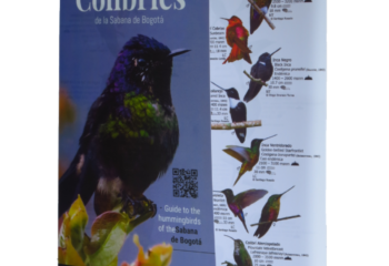 Guía de colibríes de la Sabana de Bogotá