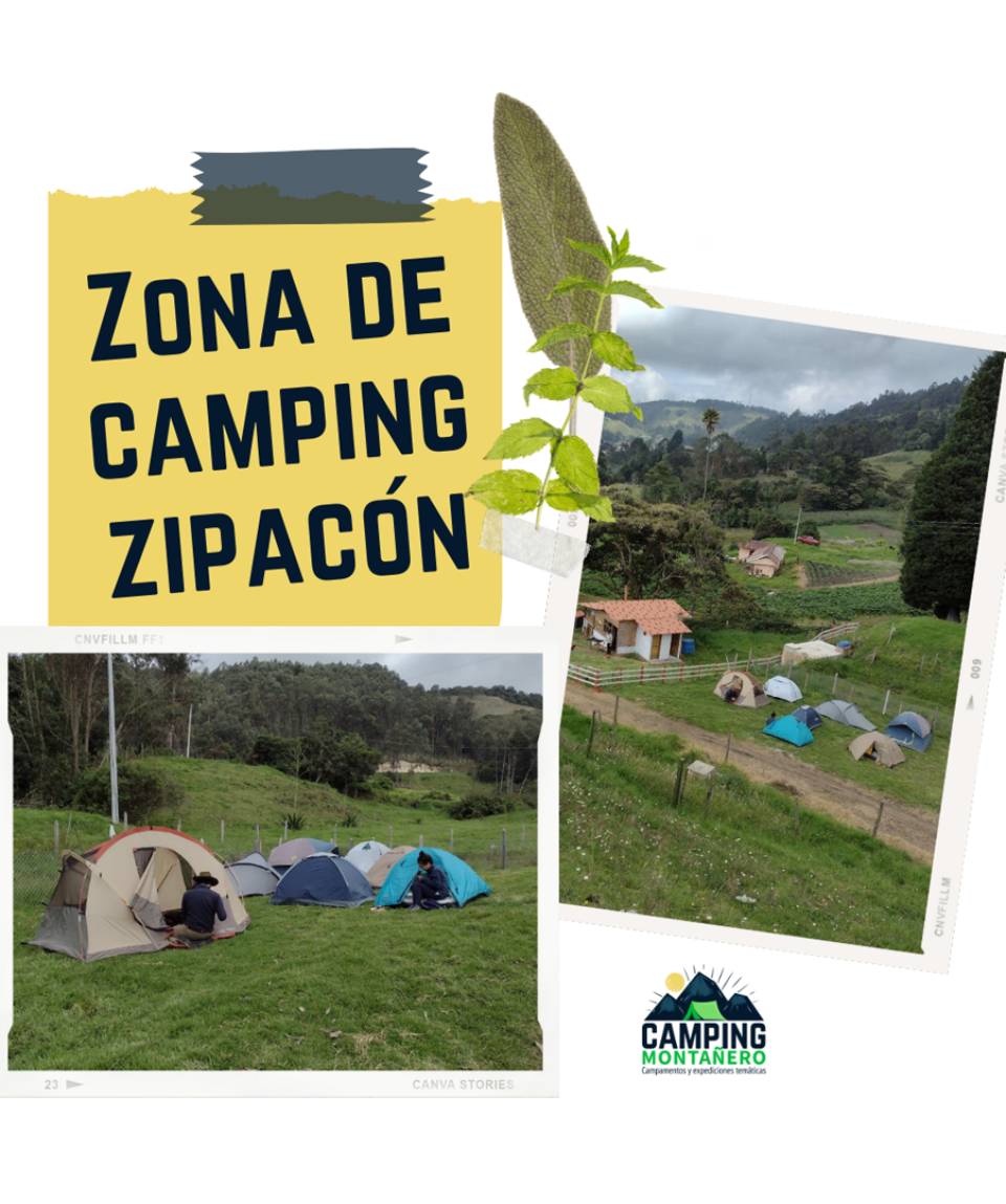 Zona de camping (1)