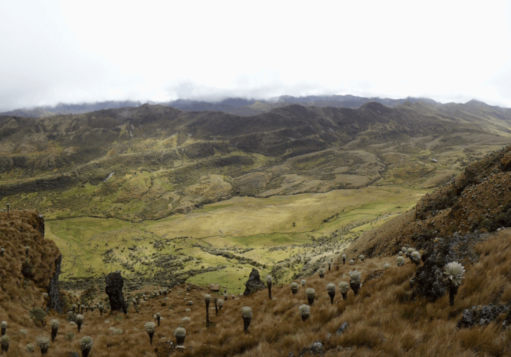 camping en el páramo