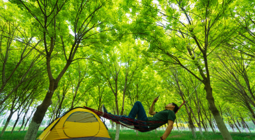 camping en zonas tropicales
