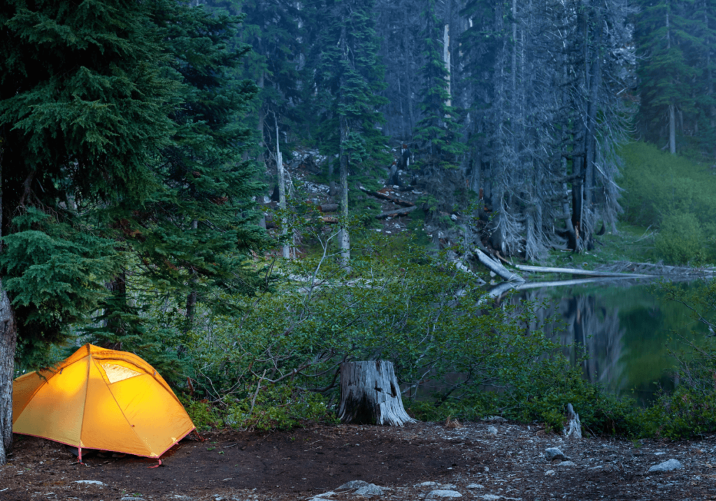 Campamento ideal