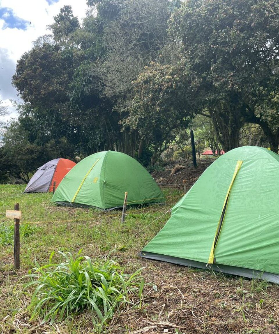 Camping Choachi