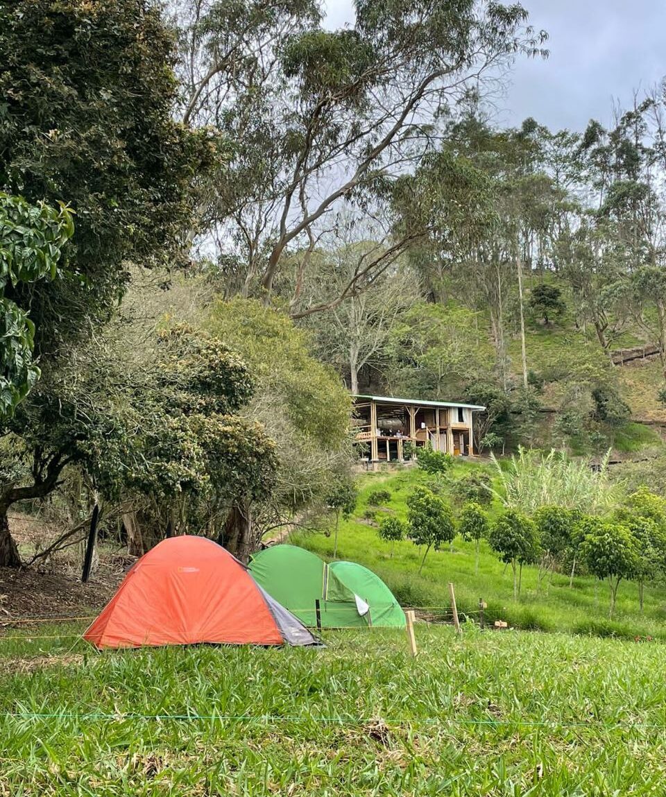 Camping Choachi