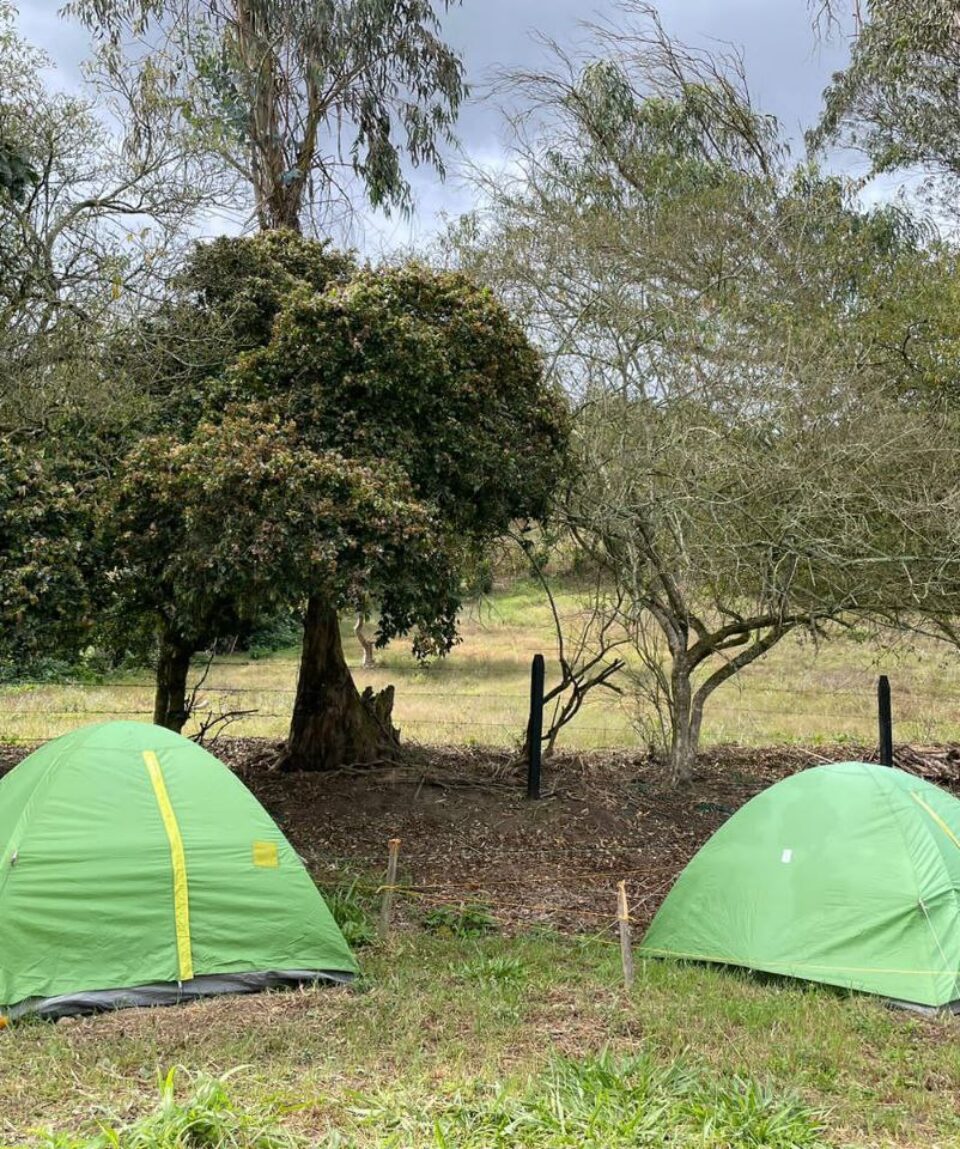Camping Choachi