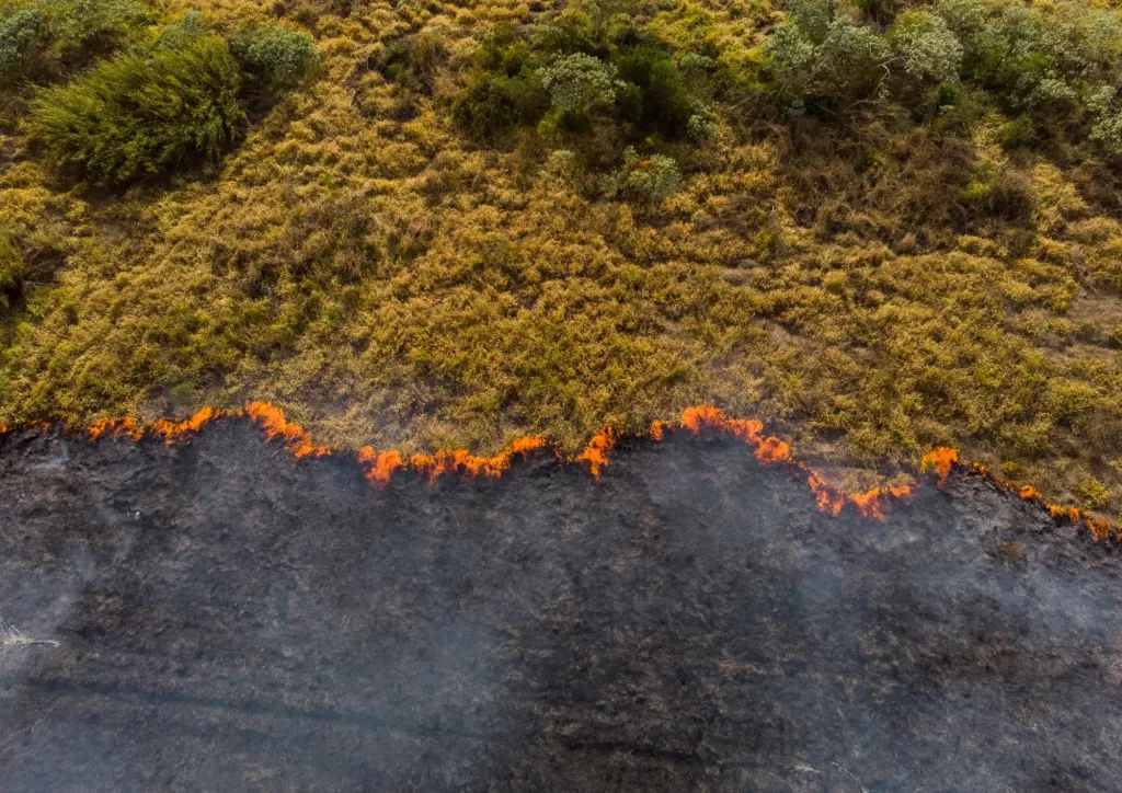 campistas y caminantes contra el cambio climático
