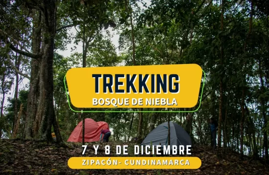 Trekking bosque de niebla