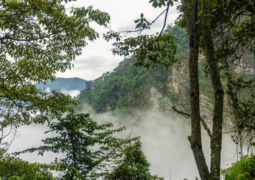 Camping cerca a Bogotá