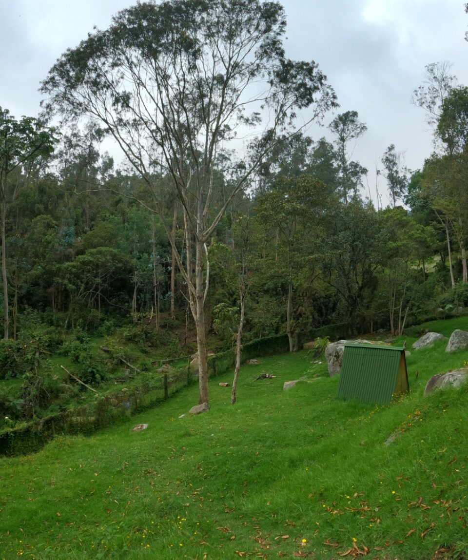 Camping La Vega