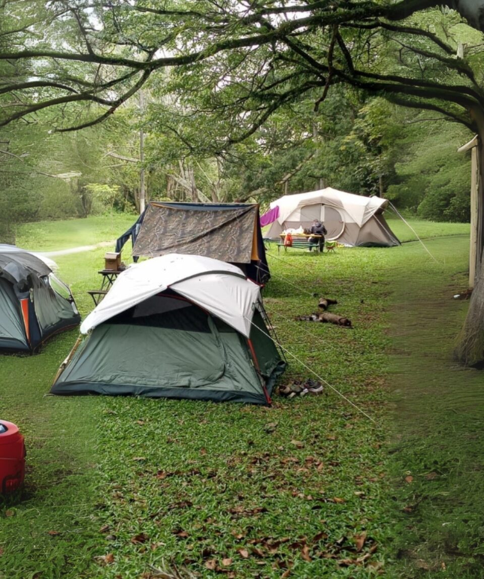 Camping en Silvania