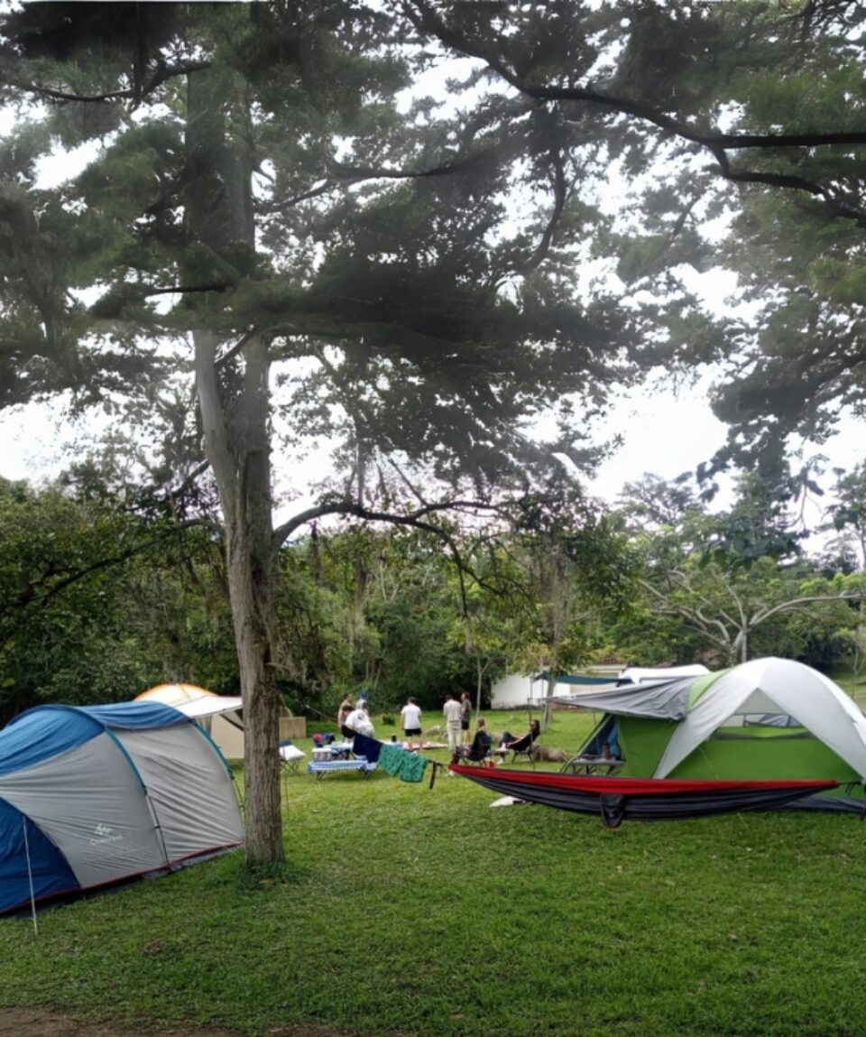 Camping en Silvania