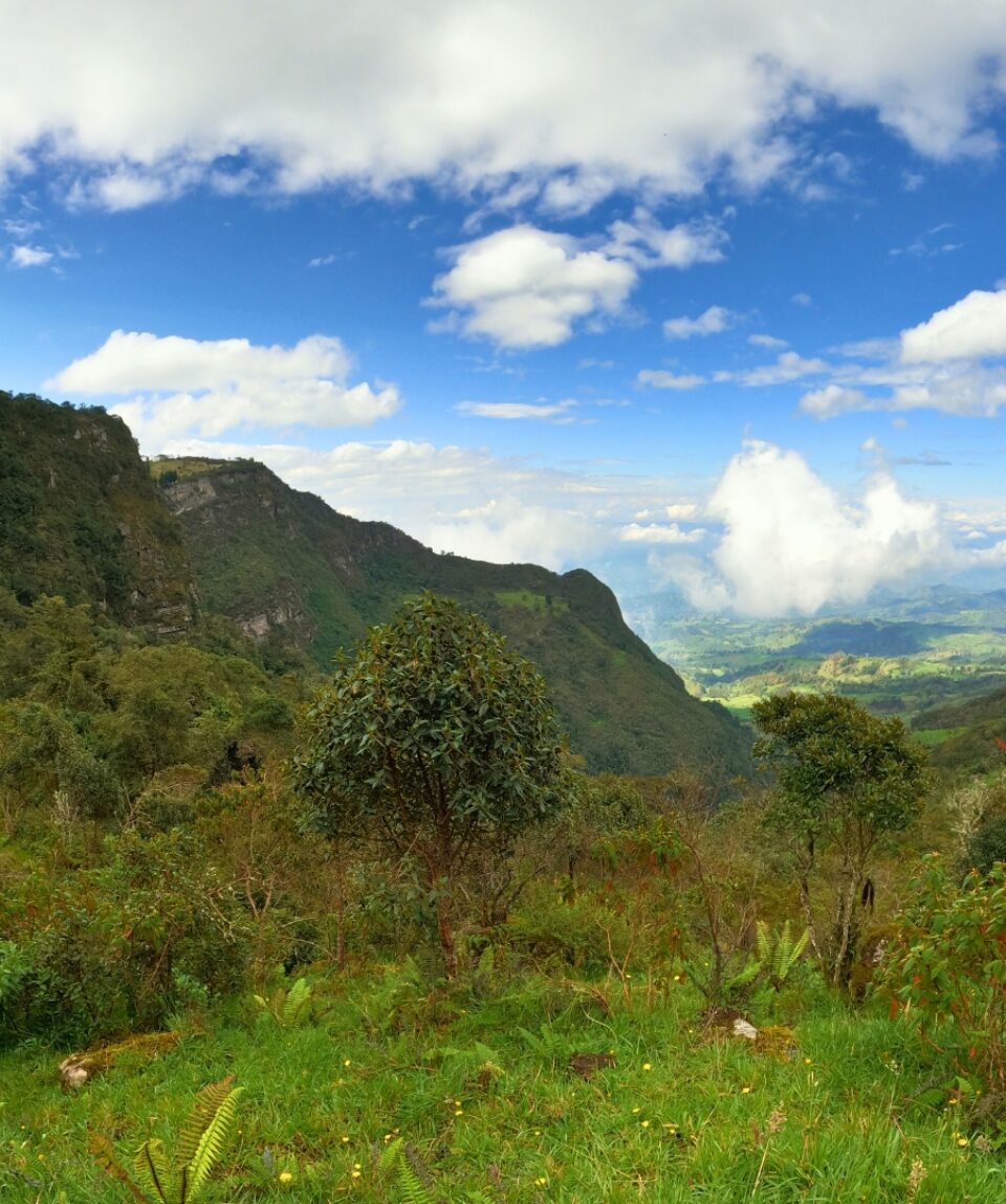 Campamento Bosque del Tablazo