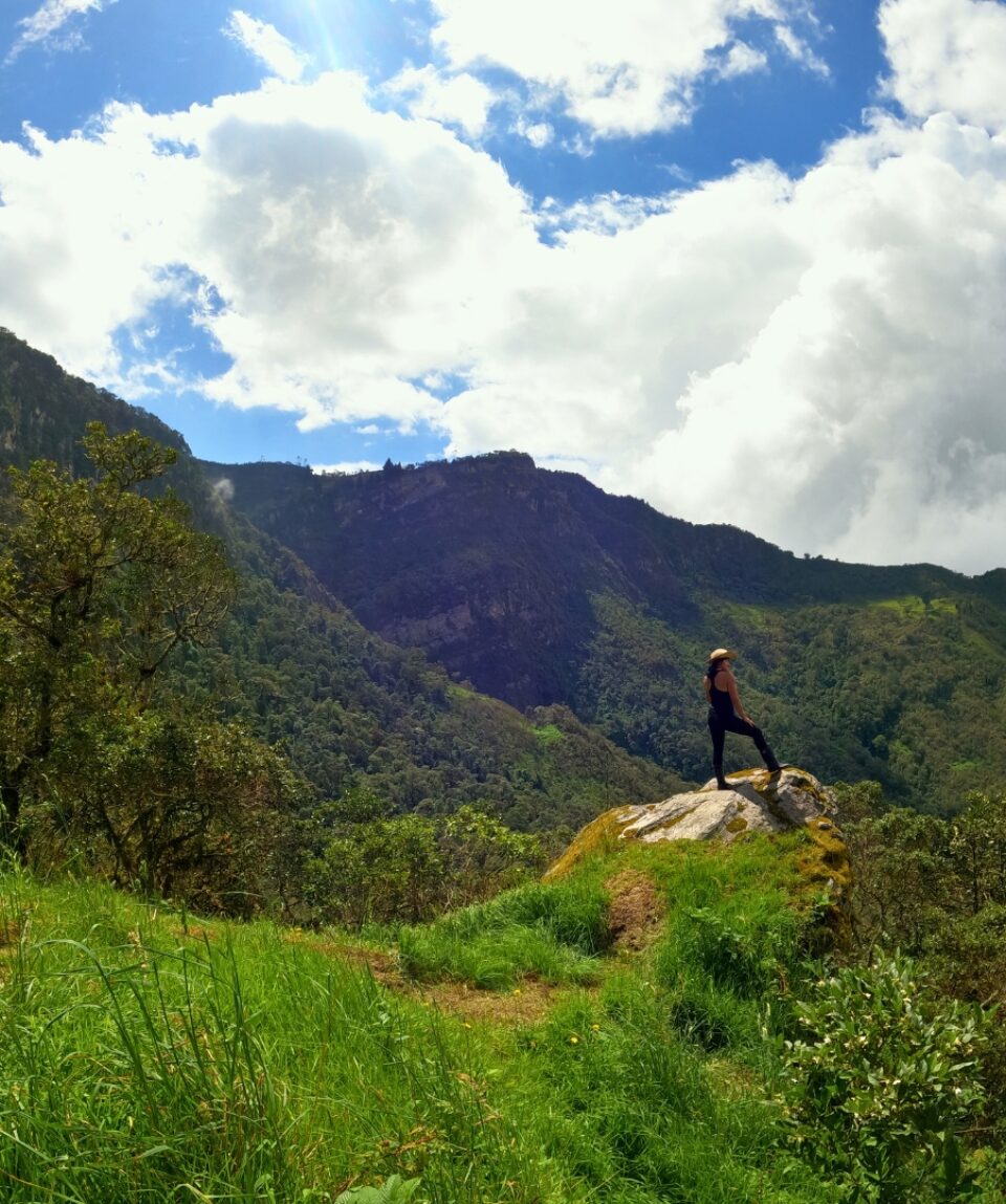 Campamento Bosque del Tablazo