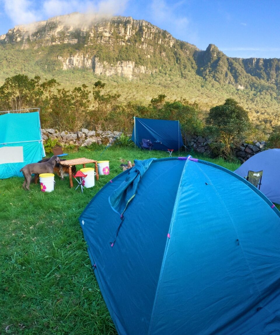 Campamento Bosque del Tablazo