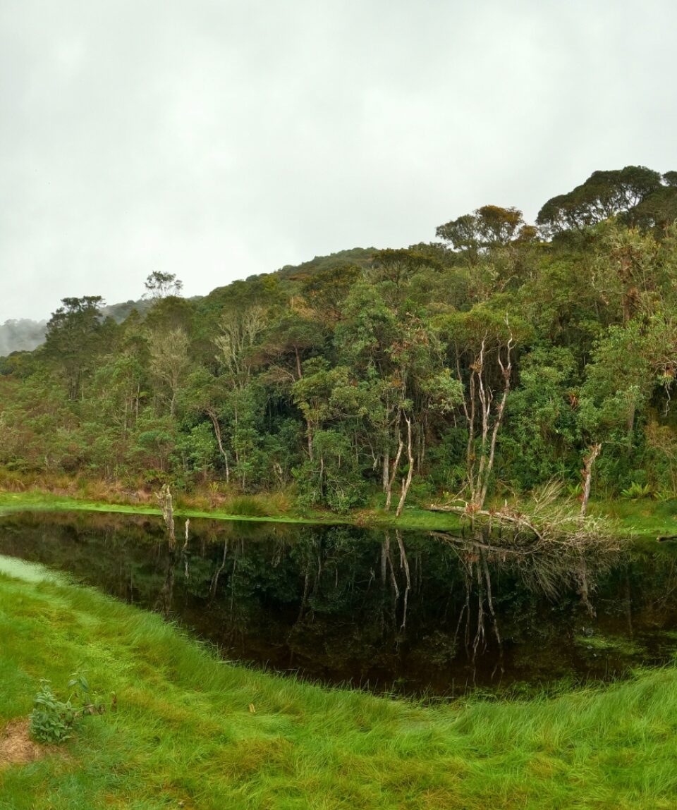 Campamento Bosque del Tablazo