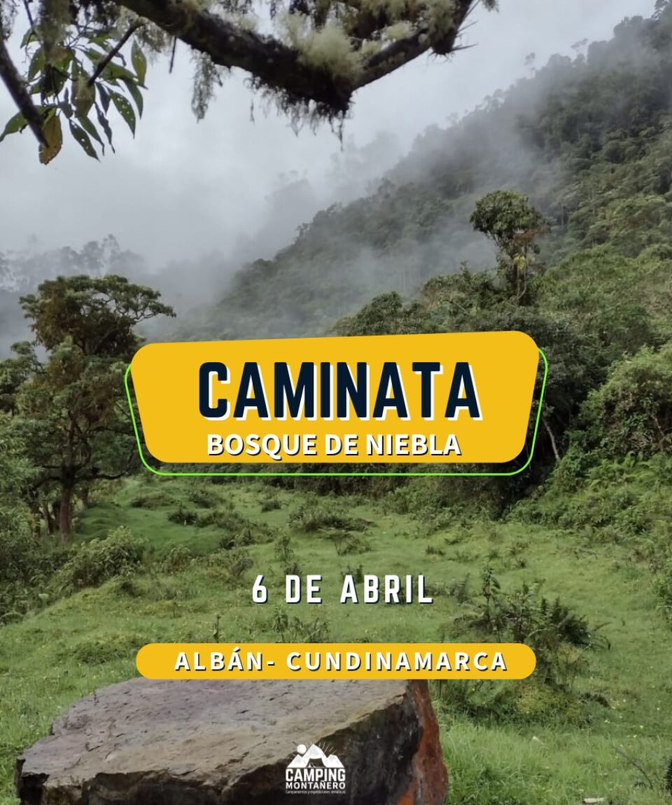 caminata bosque de niebla