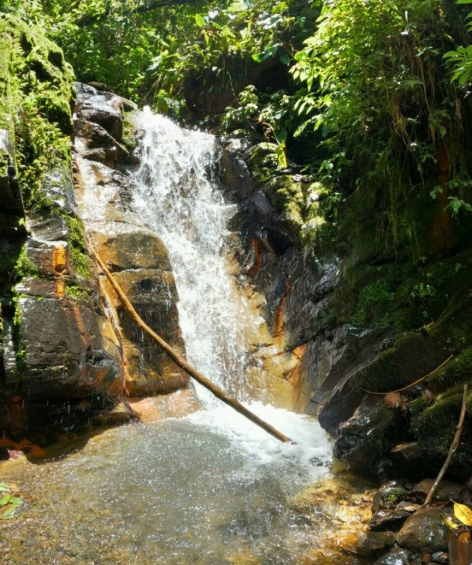 Caminata Bosques del Gualivá