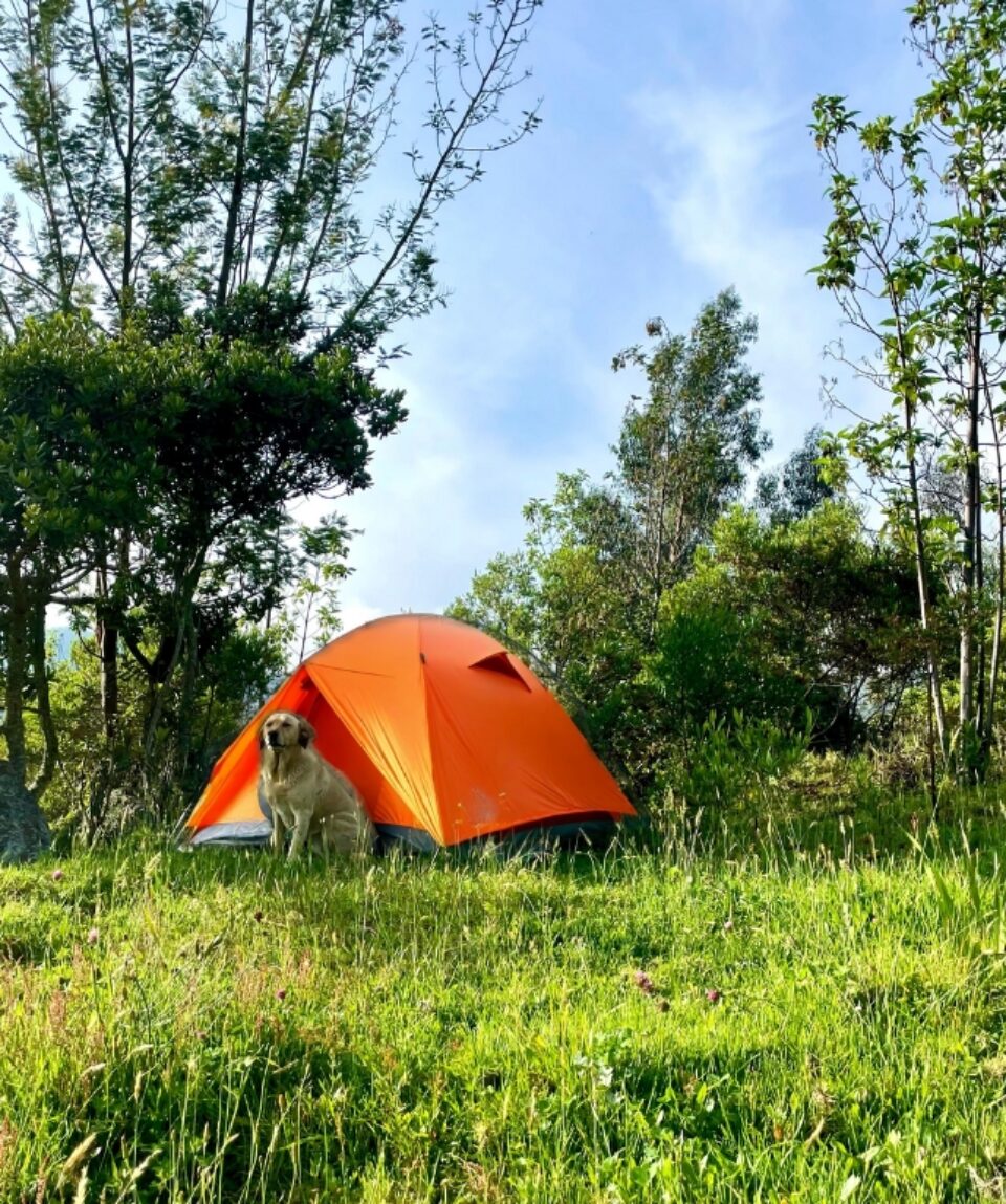 Camping Susa